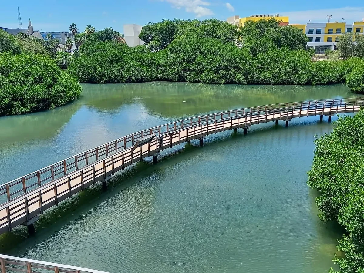 As passarelas elevadas percorrem pouco mais de um quilômetro dentro do parque.