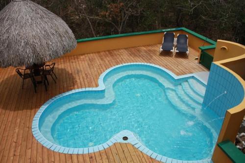 Dream of the Green Flamingo in Sint Willibrordus Dream of the Green Flamingo – Sint Willibrordus, Curaçao